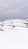 verticaal video van besneeuwd bergen antenne visie