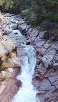 vertical vídeo de hermosa naturaleza antecedentes aéreo ver video