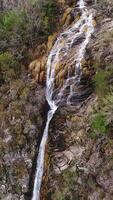 vertical vídeo do cascata dentro a montanhas aéreo Visão video