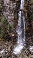 vertical vídeo do cascata dentro a montanhas aéreo Visão video