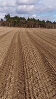 Vertical Video of Agriculture Fields Aerial View