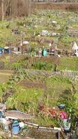Vertikale Video von Gemeinschaft Garten im das Stadt Antenne Aussicht