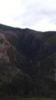 Vertikale Video von Fluss Schlucht Antenne Aussicht