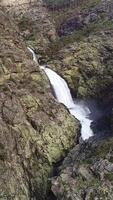 Vertical Video of Stream in the Mountains Aerial View