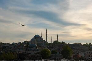 Suleymaniye Mosque. Islamic background photo. Mosques of Istanbul photo