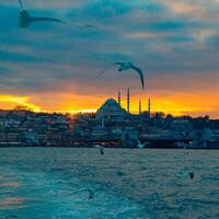 Istanbul background square format photo. Mosque and seagulls at sunset photo