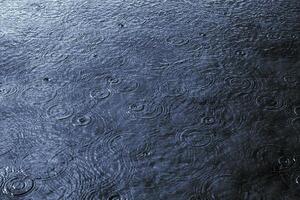 Raindrops and drop circles on the lake or puddle. Weather forecast concept photo