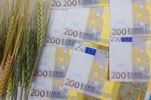 comida o grano o trigo o agricultura precios creciente en Europa concepto foto
