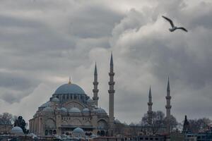 Suleymaniye Mosque and seagull with dramatic clouds. photo