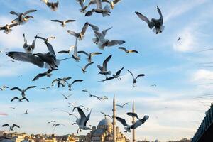 Estanbul y Gaviotas gaviotas y Yeni cami o nuevo mezquita en eminonu foto