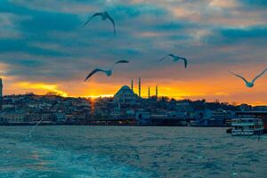 Estanbul ver a puesta de sol con mezquita y gaviotas foto