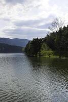 Forest and lake view with cloudy sky in vertical shot. photo