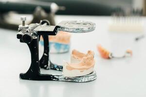 Model of teeth made of plaster of the jaw for dental technicians photo