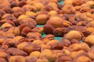 Dried apricot production. Apricots drying on the sunny day. photo