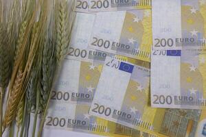 Food inflation in European Union concept. Wheats and Euros. photo