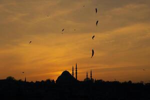 Silhouette of Suleymaniye Mosque and fishes on the fishing line photo