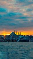 Gaviota y suleymaniye mezquita ver a puesta de sol. Estanbul vertical foto