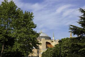 arboles y hagia Sofía o ayasofya mezquita. viaje a Estanbul antecedentes foto