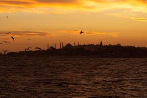 Istanbul silhouette. Hagia Sophia, Sultanahmet or Blue Mosque and Topkapi Palace photo