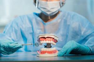 A dental doctor wearing blue gloves and a mask holds a dental model of the upper and lower jaws and a dental mirror photo