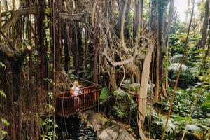 A tourist girl walks through the jungle in a park on the island of Tenerife. Spain photo