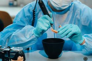 A masked and gloved dental technician works on a prosthetic tooth in his lab photo