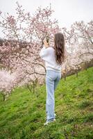 Lovely young woman taking photo of blooming pink and white garden Petrin in Prague, spring time in Europe. High quality photo