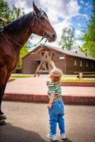 pequeño niña acecho y alimentación caballo con un flor en granja a brillante soleado día foto