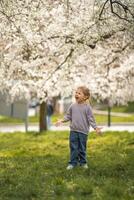 Little girl stands under a blooming apple tree. The wind blows and flower petals fly like snow in Prague park, Europe photo