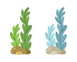 Ocean algae vector illustration. Edible sea grass, kelp. Colorful green seaweed on the seabed among the stones. Aquatic reef deep-water plant. Hand drawn cartoon doodle. Simple flat isolated clipart