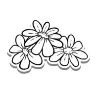Black line Three Daisies Blooming on white silhouette and gray shadow. Hand drawn cartoon style. Vector illustration for decorate, coloring and any design.