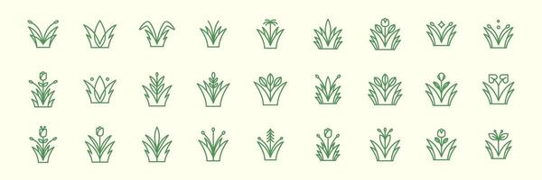 tipo de planta flores jardinería botánico agricultura línea estilo mínimo icono conjunto colección firmar símbolo logo diseño vector ilustración