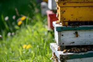 AI generated Honey bees working with honeycomb on the beehive. Close-up banner, spring and summer background. Beekeeping, wildlife and ecology concept with copy space. photo
