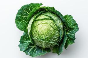 AI generated A Head of Cabbage on a White Background A single head of cabbage placed on a white background, showcasing its fresh and vibrant green leaves. photo