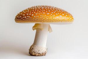 AI generated Close-Up of a Amanita Mushroom on a White Background A detailed view of a mushroom showcasing its unique texture and color, captured against a clean white background. photo