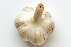 AI generated Close Up of a Garlic on a White Background This close-up photograph showcases a single garlic bulb with its individual cloves on a plain white background. photo