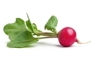 AI generated Fresh Red Radish With Vibrant Green Leaves Isolated on a White Background A single fresh red radish with green leaves sits isolated against a pure white background photo