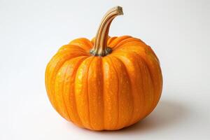 AI generated Vibrant Orange Pumpkin Isolated on a White Background Signaling Autumn Harvest A ripe, brightly colored orange pumpkin sits center stage against a clean white backdrop. photo