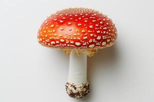 AI generated Close-Up of a Amanita Mushroom on a White Background A detailed view of a mushroom showcasing its unique texture and color, captured against a clean white background. photo