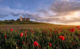 Bamburgh old Castle in Northumberland photo