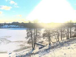 Trees in White Landscape with the Lake photo