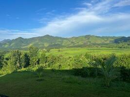 Mountain Range in Green Landscape in Laos photo