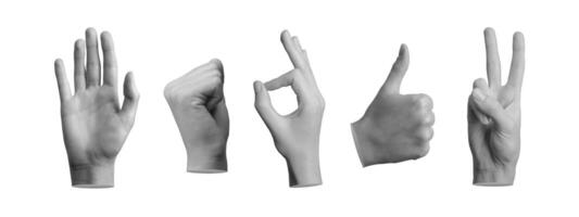 Hand gestures set. Hi, greeting, fist up, okay, thumb up, victory expressions isolated on white photo