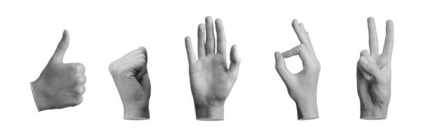 Hand gestures set. Fingers showing ok, victory, hi greeting, fist, ok signs isolated on white photo