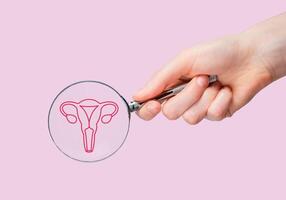 Womb, uterus, gynecology health, female reproductive system, study through magnifying glass photo