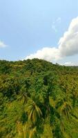 dinâmico fpv zangão voar sobre a floresta tropical dentro verão. video