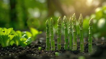 AI generated Fresh green asparagus growing in the garden. Selective focus. photo