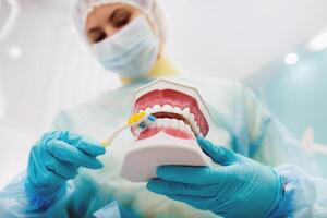 un modelo de un humano mandíbula con dientes y un cepillo de dientes en el del dentista mano foto