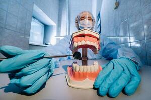 A dental doctor wearing blue gloves and a mask holds a dental model of the upper and lower jaws and a dental mirror photo