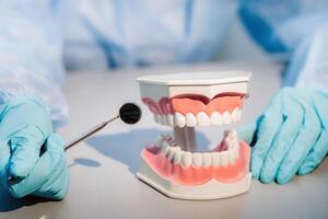 A dental doctor wearing blue gloves and a mask holds a dental model of the upper and lower jaws and a dental mirror photo